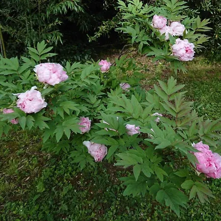 Les Montades D'hotes Bed & Breakfast 3*